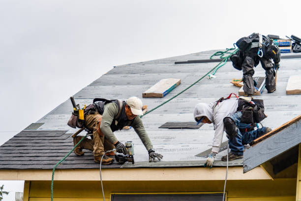 Professional Storm Damage Roof Repair technician working in Alpine, TN